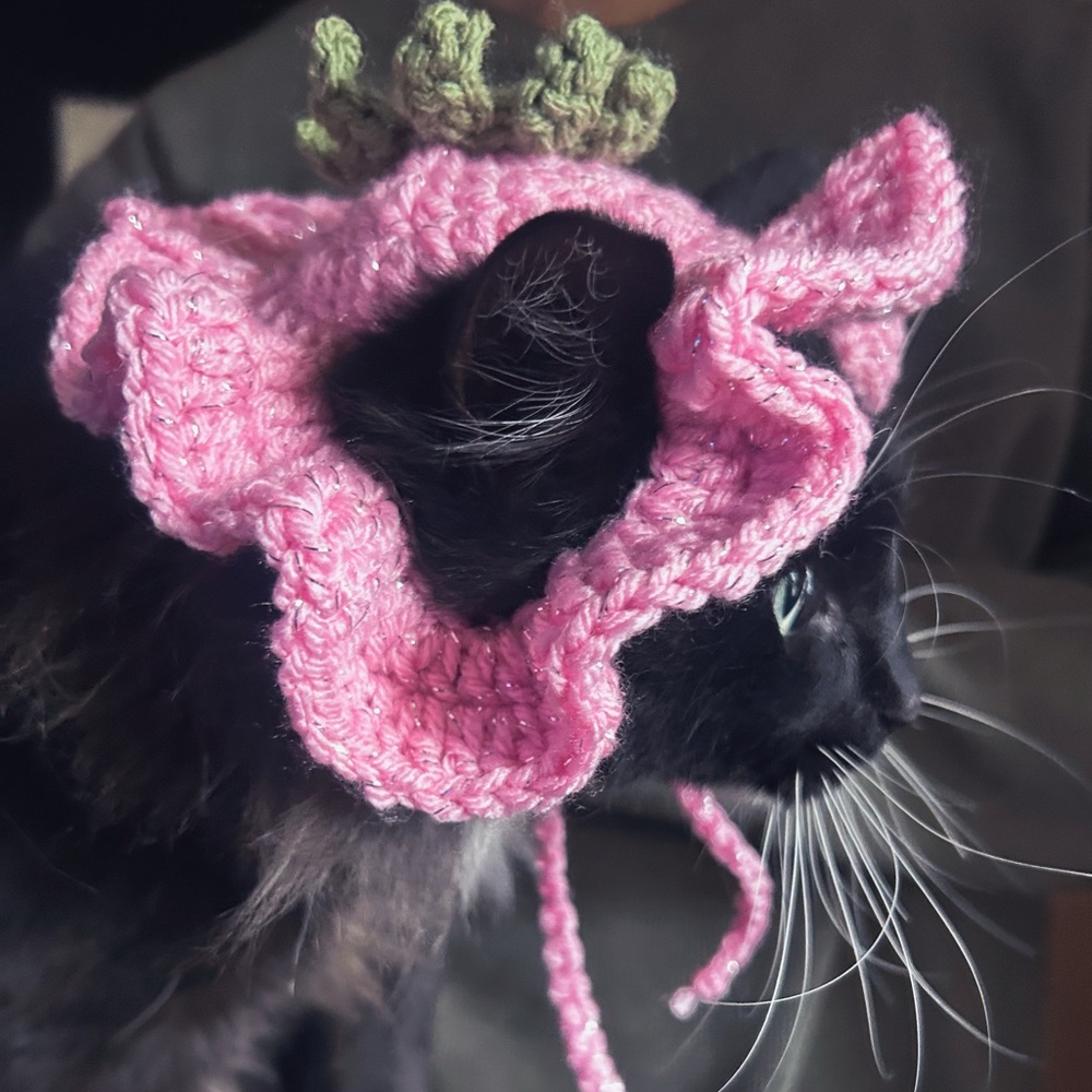 Pink Crochet Cat Hat